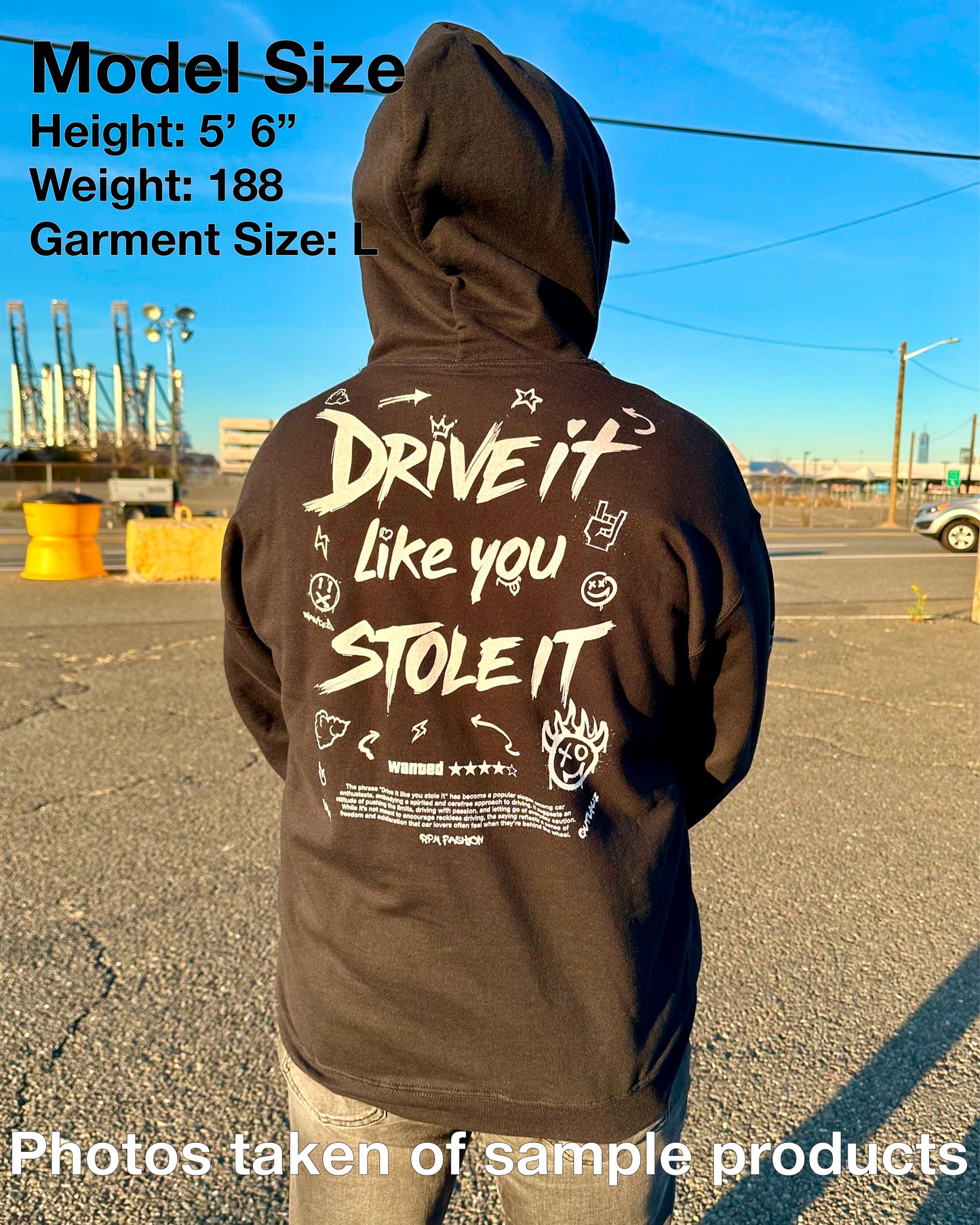 Drive it Like You Stole it - Blank Sleeves - Hooded Sweatshirt