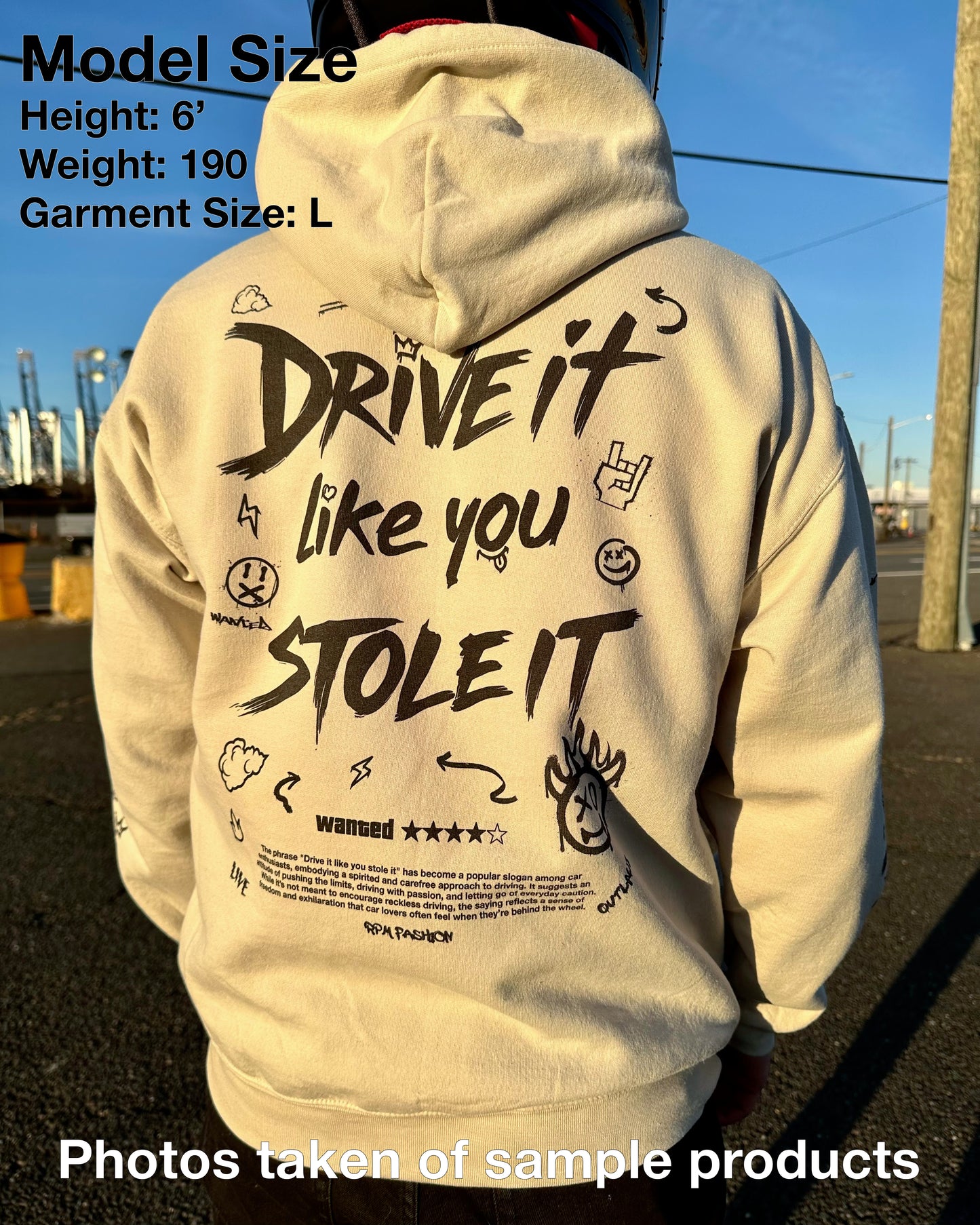 Drive It Like You Stole It - Color - Blank Sleeves - Hooded Sweatshirt